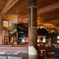 Astra Lodge Bar