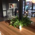 Café Hannah